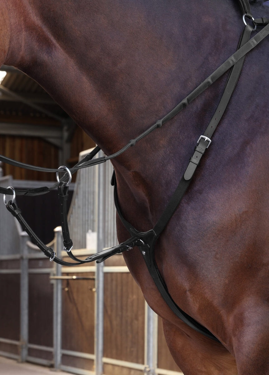 Shires Velociti Lusso Elite Breastplate - Black