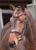 Shires Velociti Lusso Elite Flash Bridle - Havana