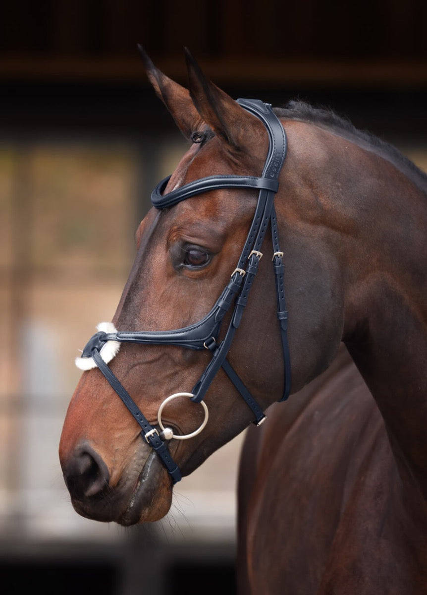 Shires Velociti Lusso Elite Grackle Bridle - Black