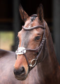 Shires Velociti Lusso Elite Grackle Bridle - Havana