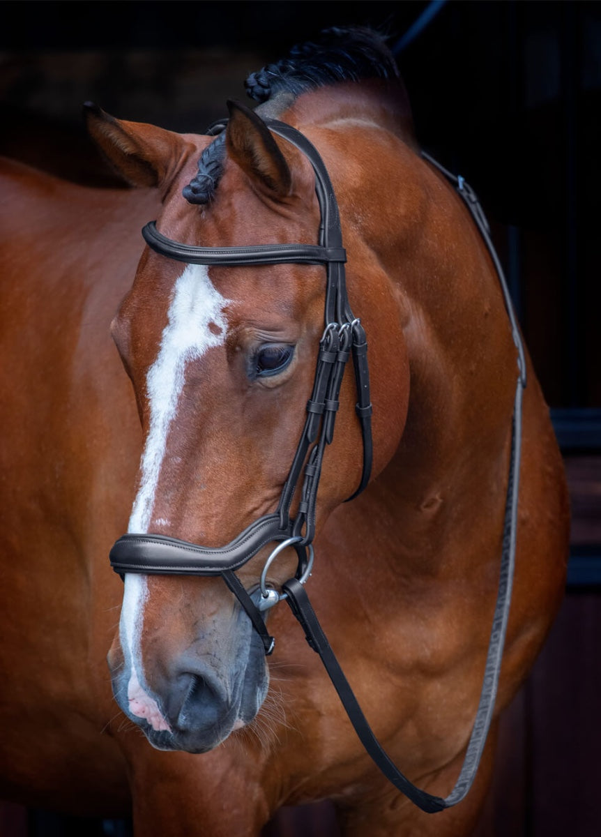 Shires Velociti RAPIDA Ergonomic Flash Bridle - Black