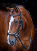 Shires Velociti RAPIDA Ergonomic Flash Bridle - Black