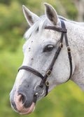 Shires GARA Fancy Stitched In Hand Bridle - Havana