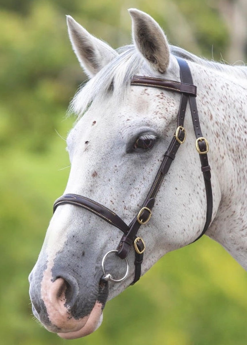 Shires GARA Fancy Stitched In Hand Bridle - Havana