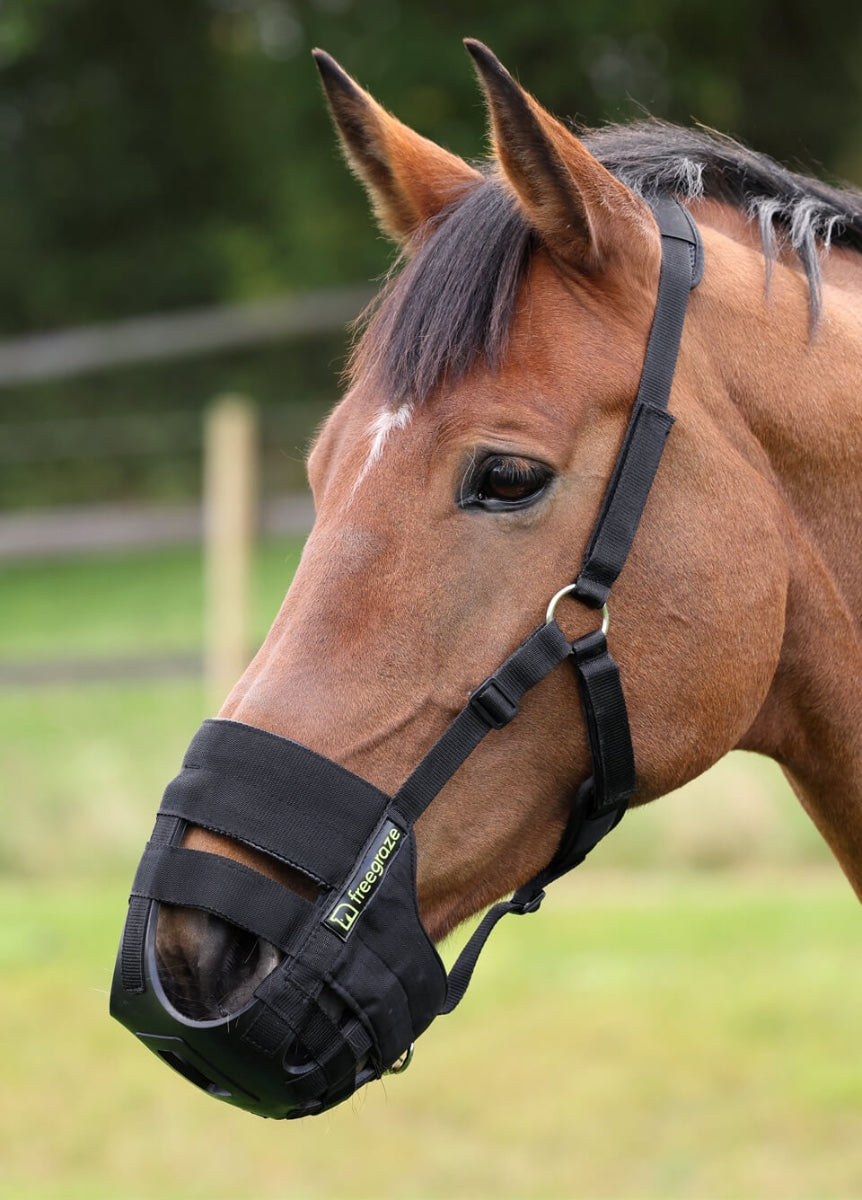 Shires Freegraze Airflow Grazing Muzzle - Black