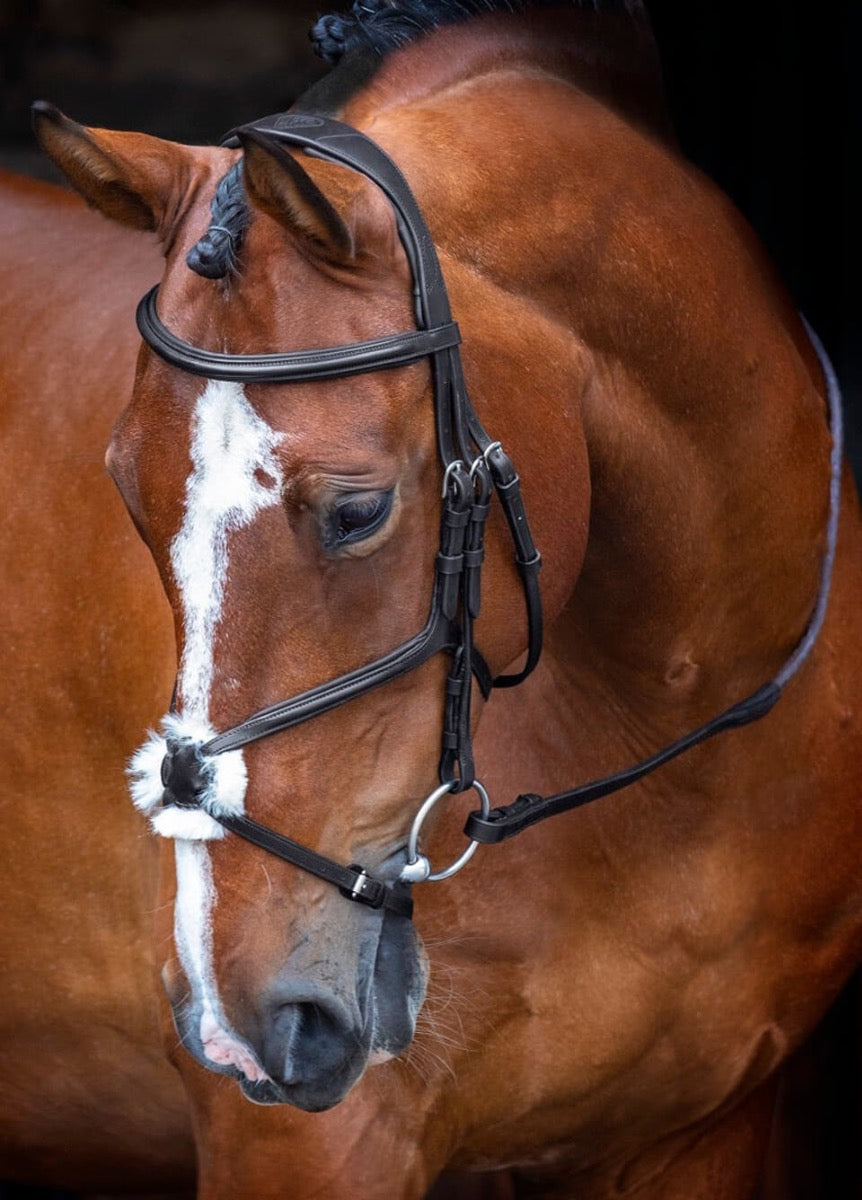 Shires Velociti RAPIDA Grackle Bridle - Black