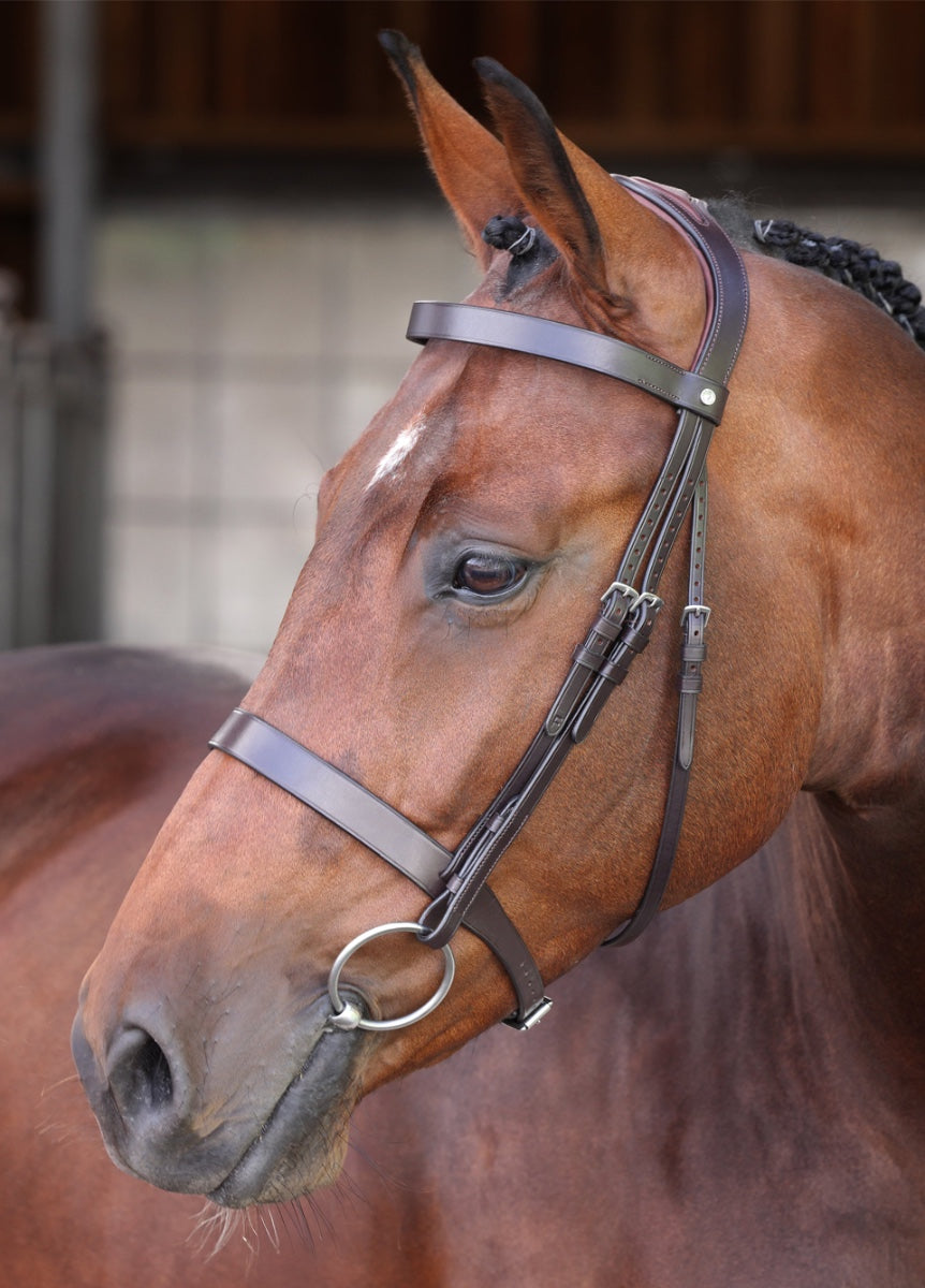Shires Velociti Lusso Elite Hunter Bridle - Havana