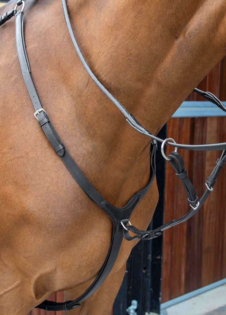 Shires Velociti Lusso Breastplate - Black