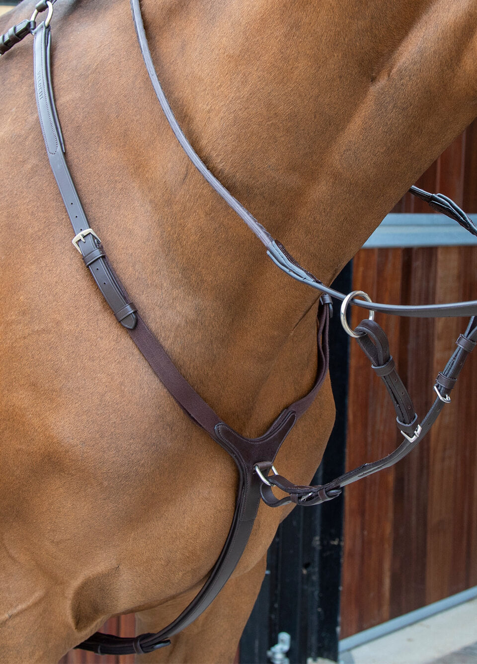 Shires Velociti Lusso Breastplate - Havana