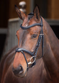Shires Velociti Lusso Elite Flash Bridle - Black