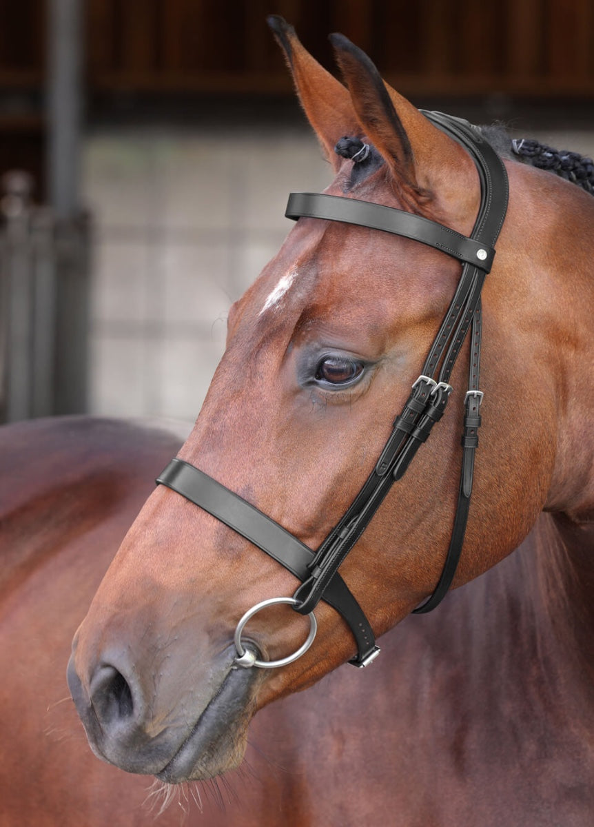 Shires Velociti Lusso Elite Hunter Bridle - Black