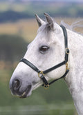 Shires Velociti GARA Ragley Lined Leather Headcollar - Black