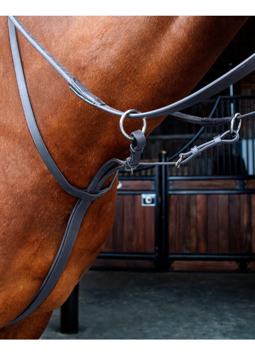 Shires Velociti RAPIDA Running Martingale - Black