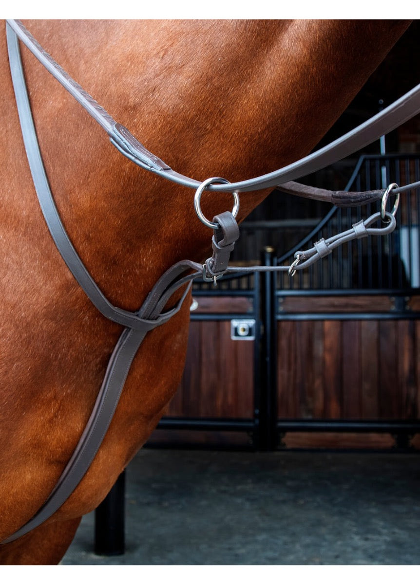 Shires Velociti RAPIDA Running Martingale - Havana