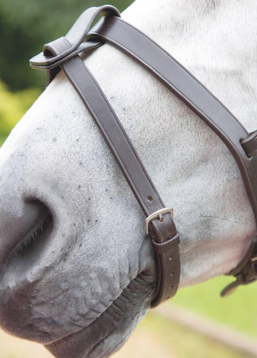 Shires Blenheim Flash Strap - Havana