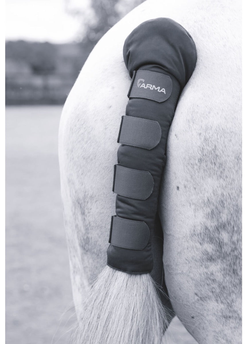Shires ARMA Padded Tail Guard - Black
