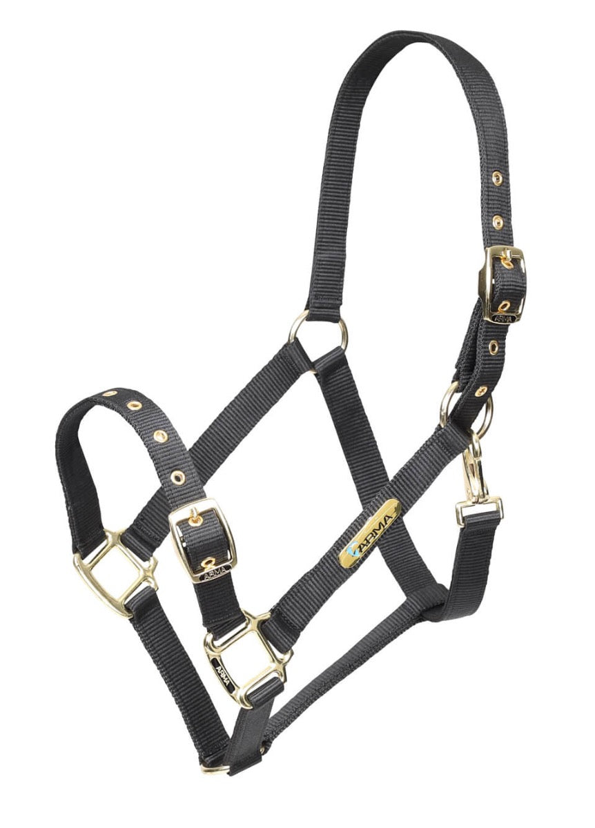 Shires ARMA Adjustable Headcollar - Black