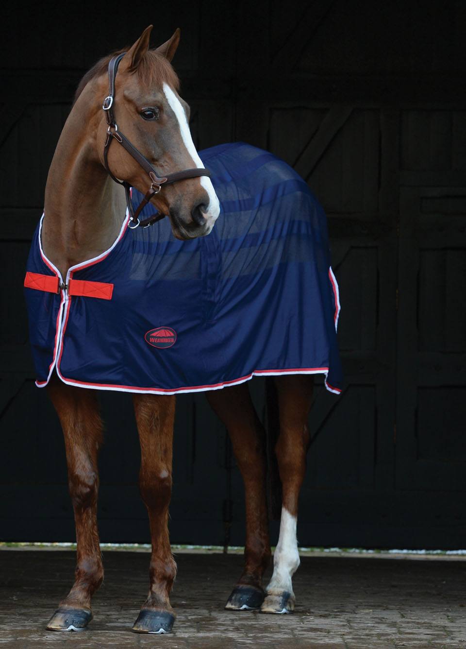 Weatherbeeta Scrim Cooler Standard Neck - Navy/Red/White