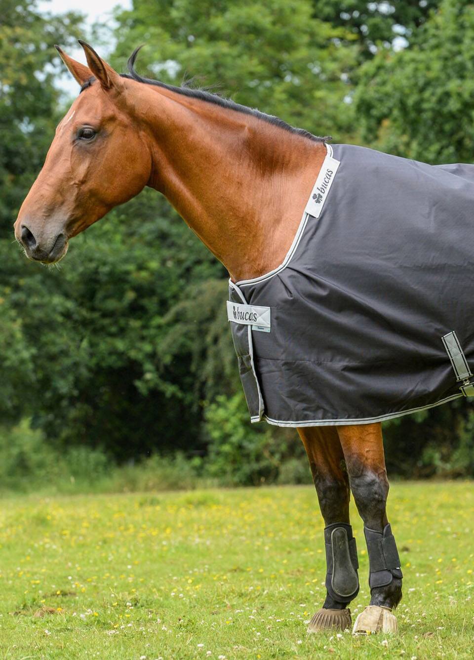 Bucas Smartex Rain Rug - Black