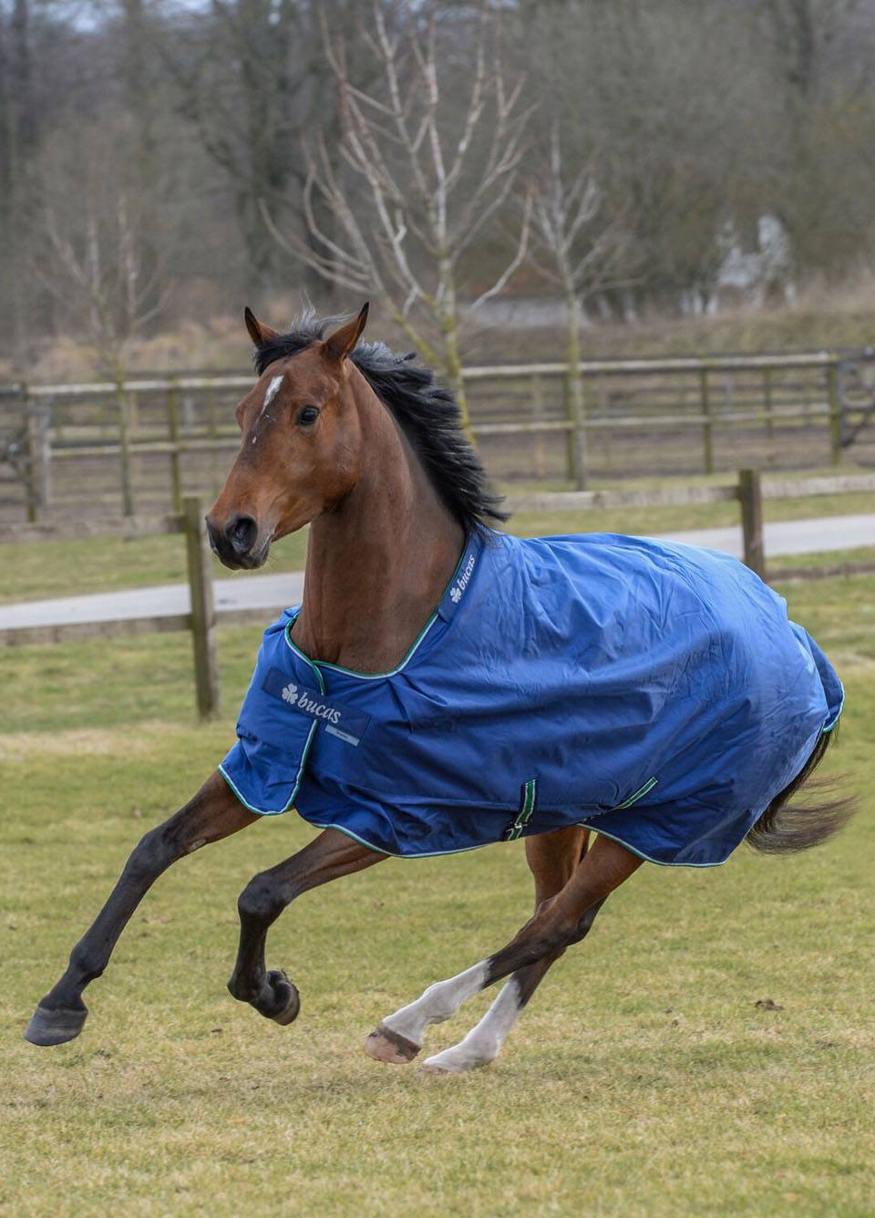 Bucas Smartex Rain Rug - Blue