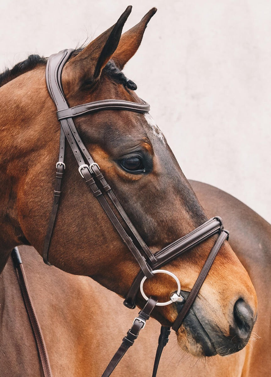 Schockemohle Tokyo Select Anatomical Bridle - Brown