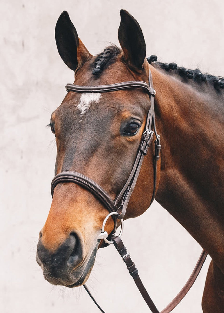 Schockemohle Tokyo Select Anatomical Bridle - Brown