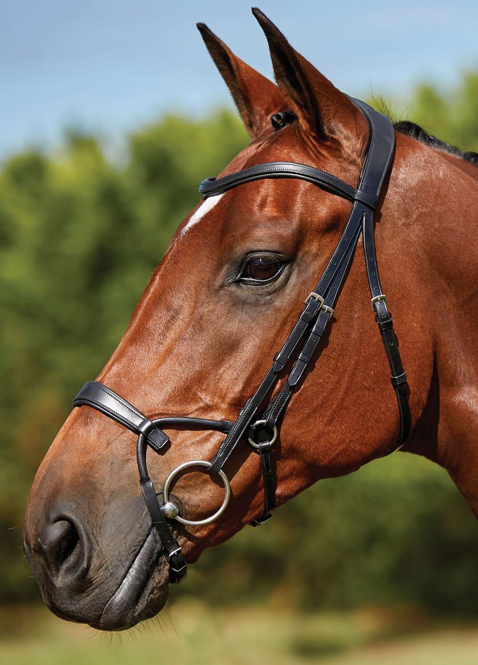 Collegiate Comfitec Training Bridle - Black