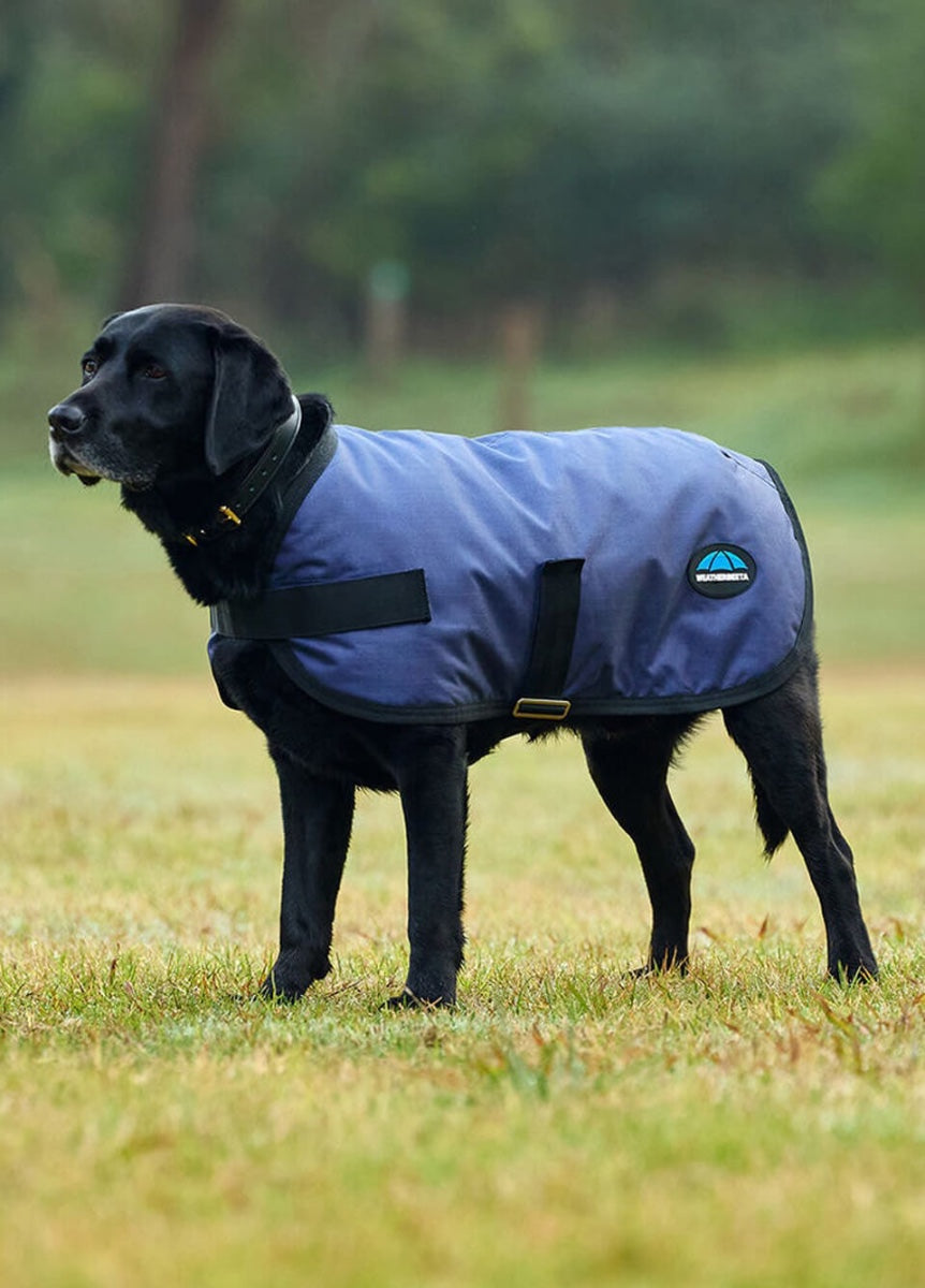 Weatherbeeta ComFITec Classic Waterproof Dog Coat - Navy