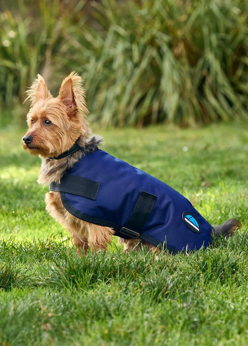 Weatherbeeta ComFITec Classic Waterproof Dog Coat - Navy
