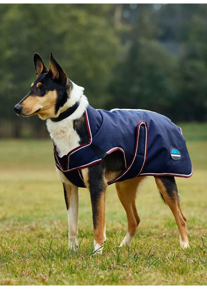 Weatherbeeta ComFITec Premier Deluxe Waterproof Dog Coat - Navy/Burgundy