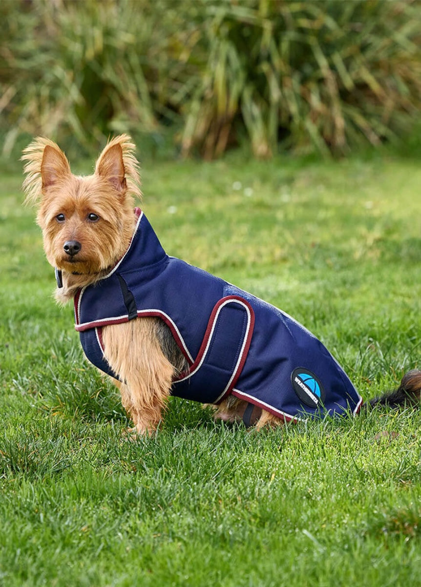 Weatherbeeta ComFITec Premier Deluxe Waterproof Dog Coat - Navy/Burgundy