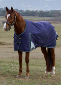 Weatherbeeta Plus Dynamic Standard Neck 100g - Navy/Forest