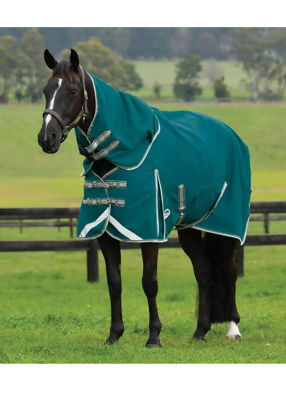 Weatherbeeta Plus Dynamic II Detach-A-Neck Lite 0g - Green/Stone/Teal