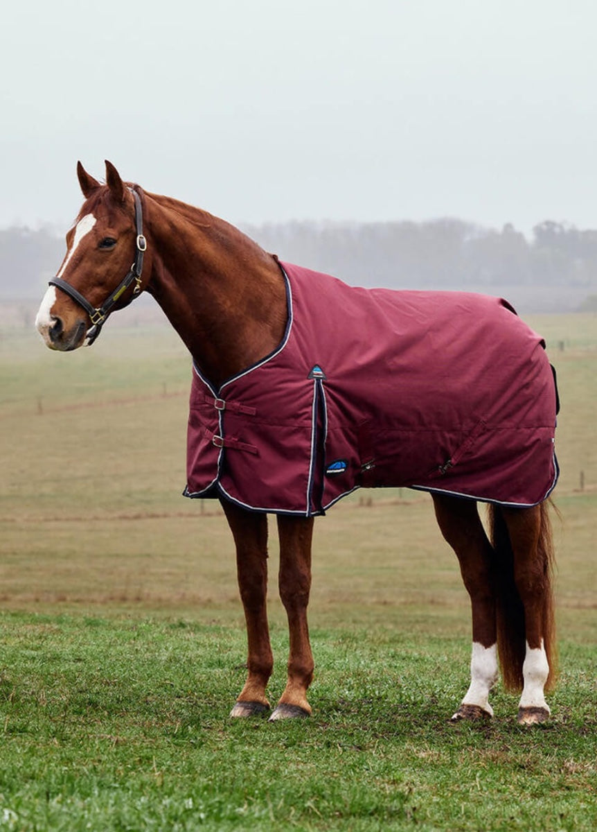Weatherbeeta ComFITec Prelim Standard Neck 0g - Burgundy/Navy