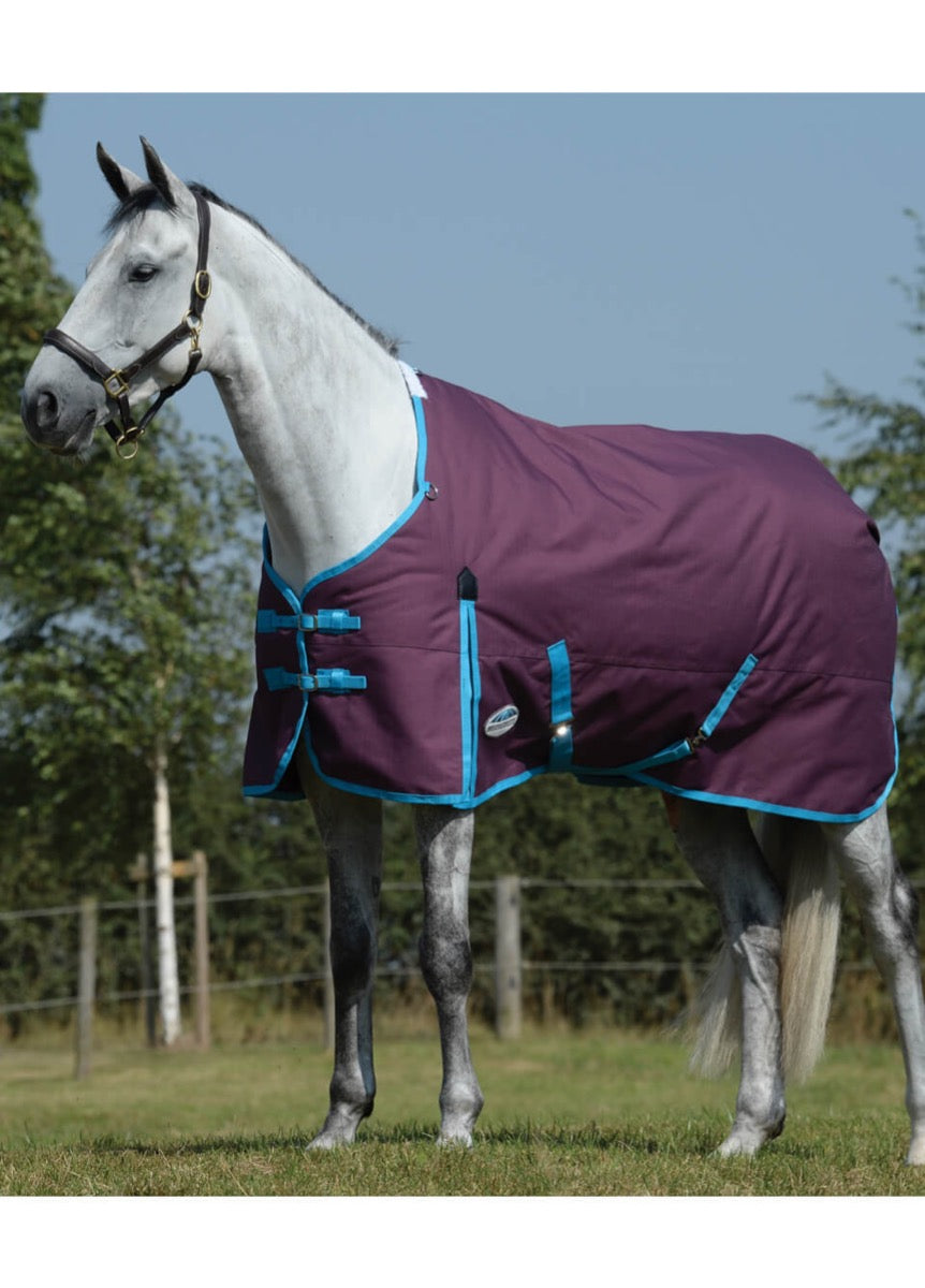 Weatherbeeta Essential Standard Neck Medium - Grape/Blue