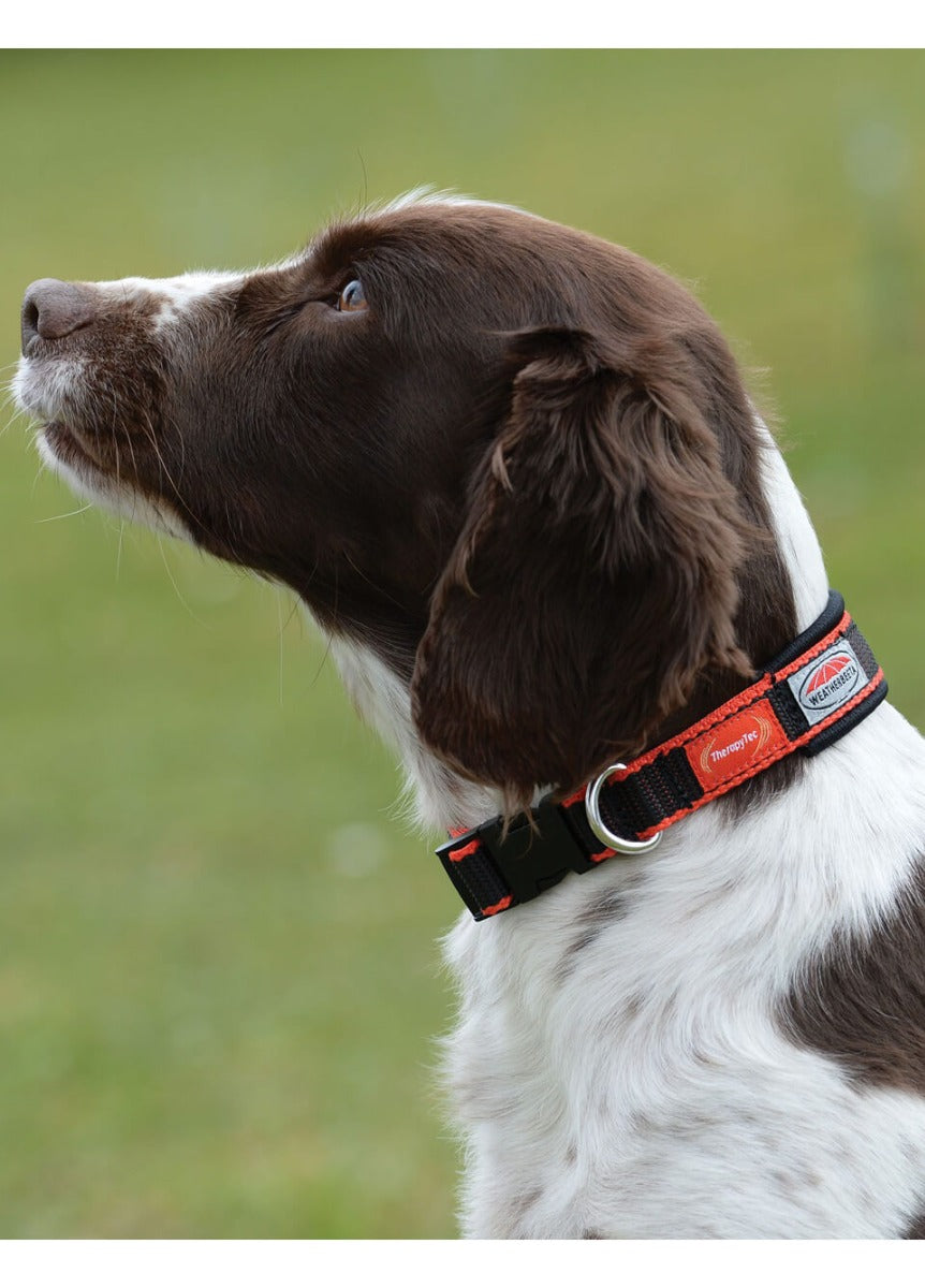 Weatherbeeta Therapy-Tec Dog Collar - Black/Red