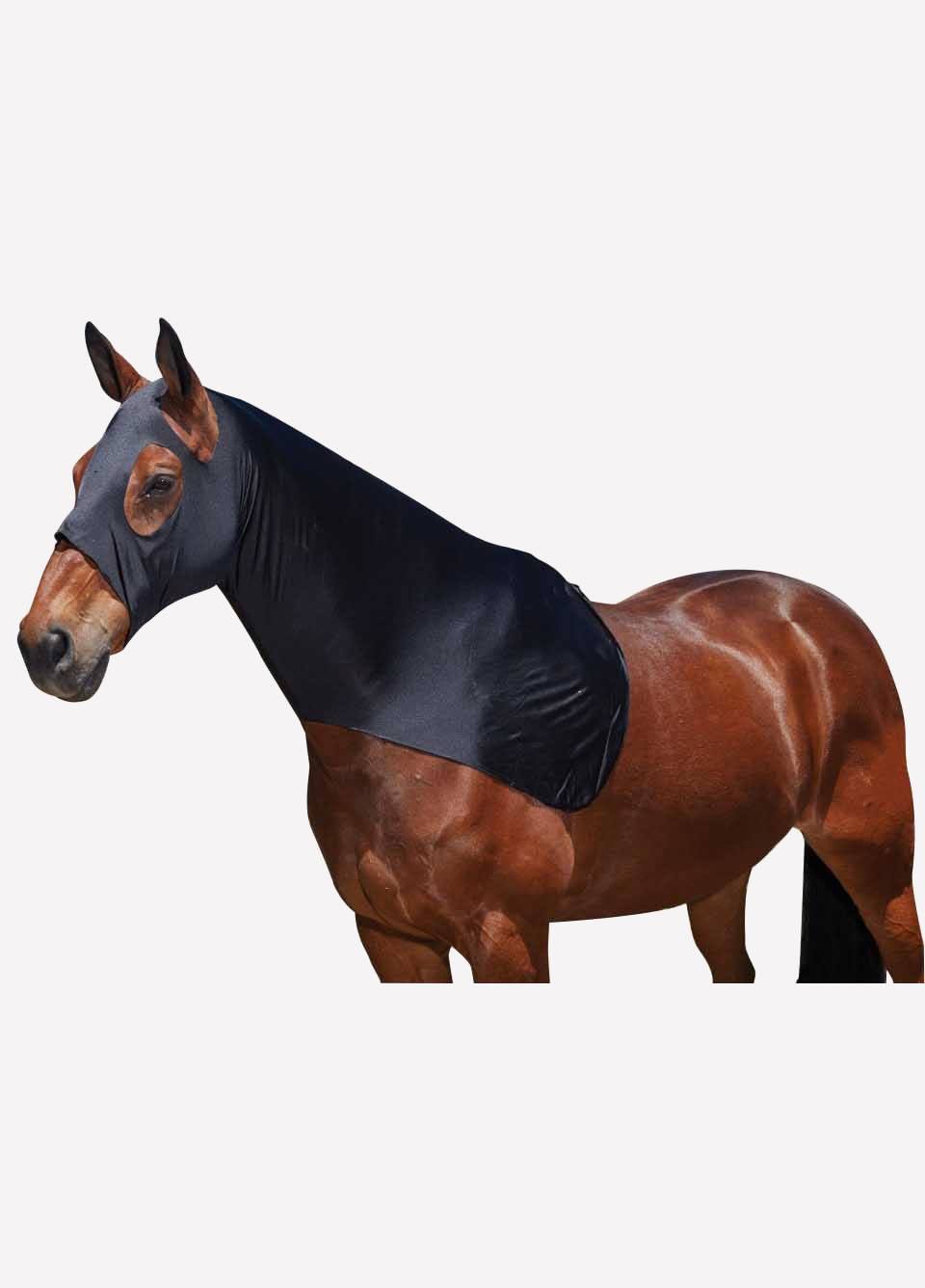 Weatherbeeta Stretch Hood - Black