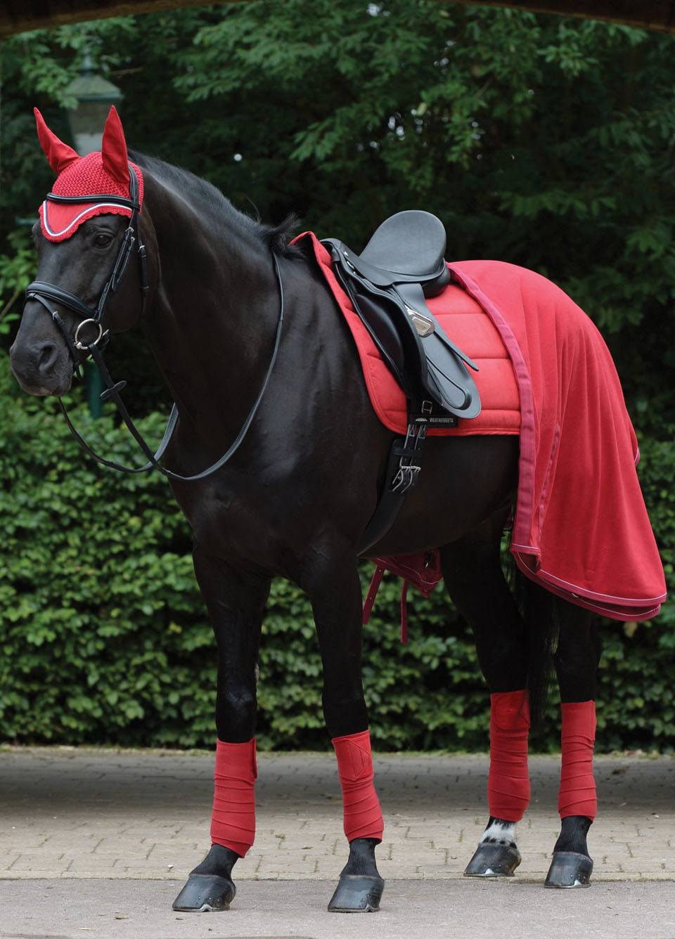 Weatherbeeta Ear Bonnet - Ruby