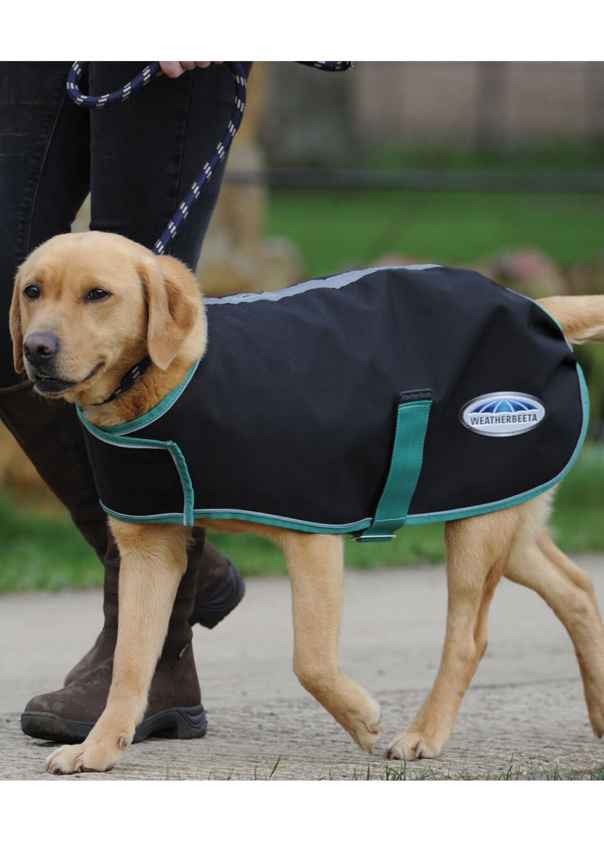 Weatherbeeta Green-Tec 900D Dog Coat Medium - Black/Bottle Green
