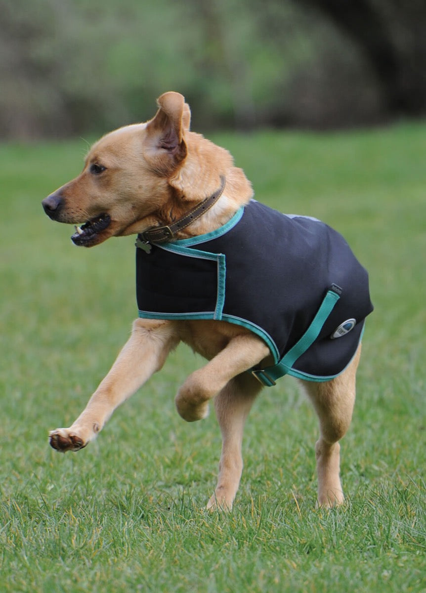 Weatherbeeta Green-Tec 900D Dog Coat Medium - Black/Bottle Green