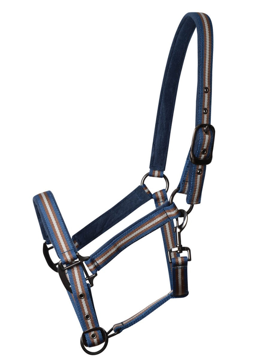 Weatherbeeta Coordinate Headcollar - Dark Blue/Brown/Grey