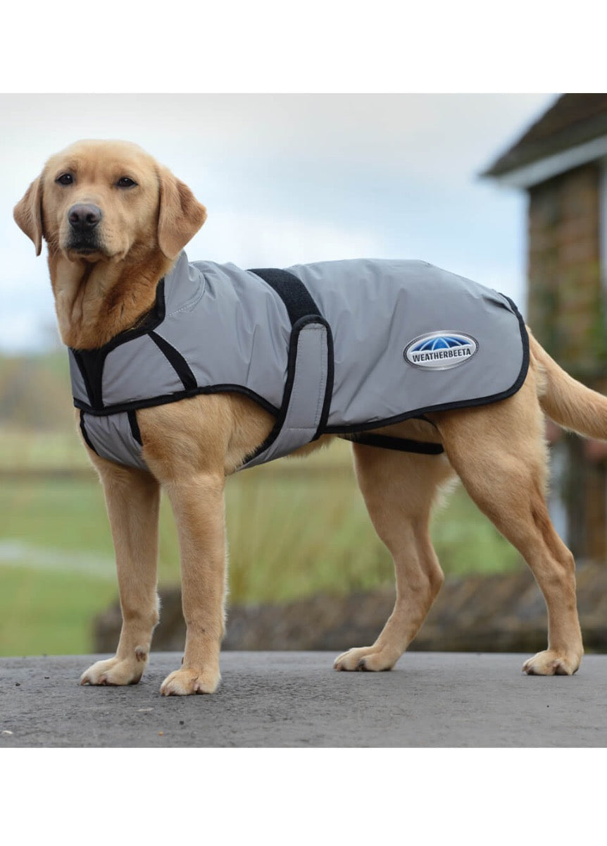 Weatherbeeta ComFITec Reflective Dog Coat Medium - Silver