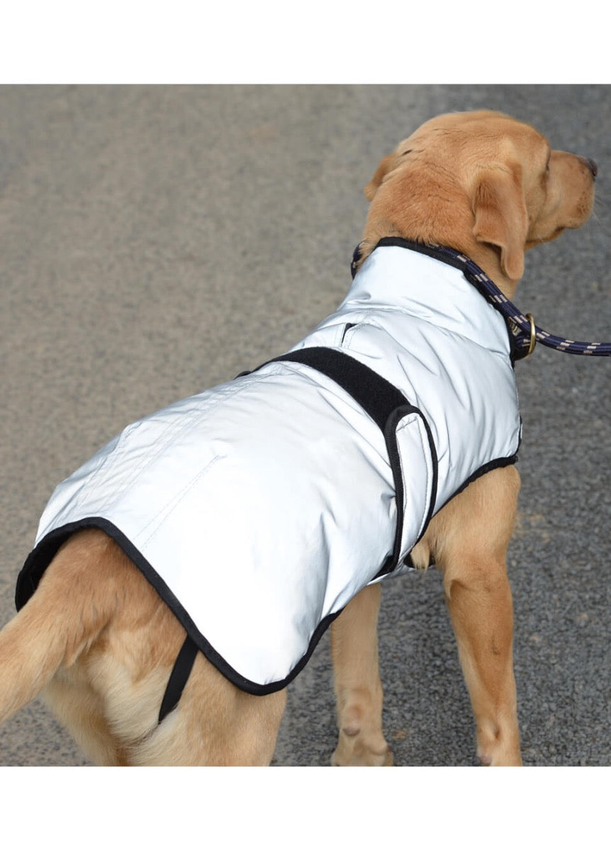 Weatherbeeta ComFITec Reflective Dog Coat Medium - Silver