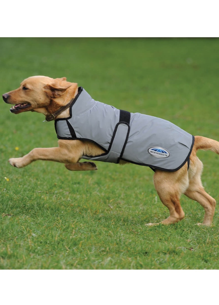Weatherbeeta ComFITec Reflective Dog Coat Medium - Silver