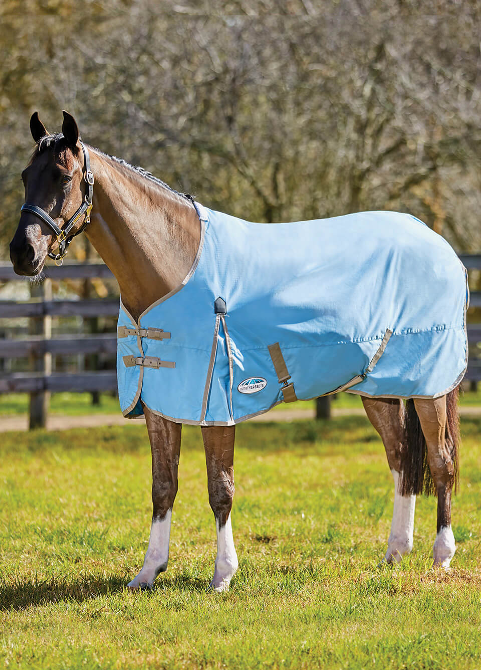 WeatherBeeta ComFiTec Classic Standard Neck Lite Turnout Rug - Blue/Taupe