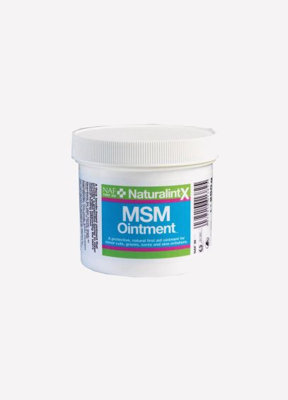 NAF NaturalintX MSM Ointment