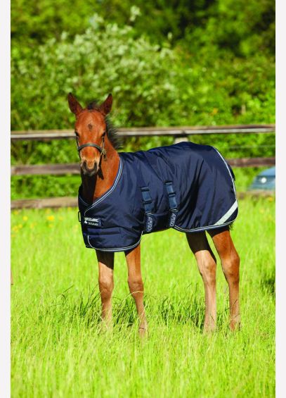 Amigo Foal Turnout/Stable Rug 200g - Navy