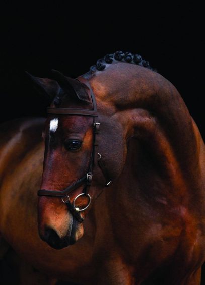 Rambo Micklem Competition Bridle - Brown