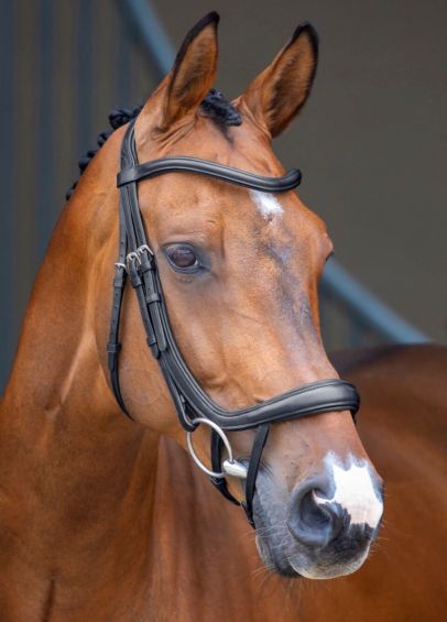 Shires Lusso Curved Flash Bridle - Black