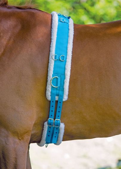 Shires Nylon Lunging Roller With Fleece Padding - Blue